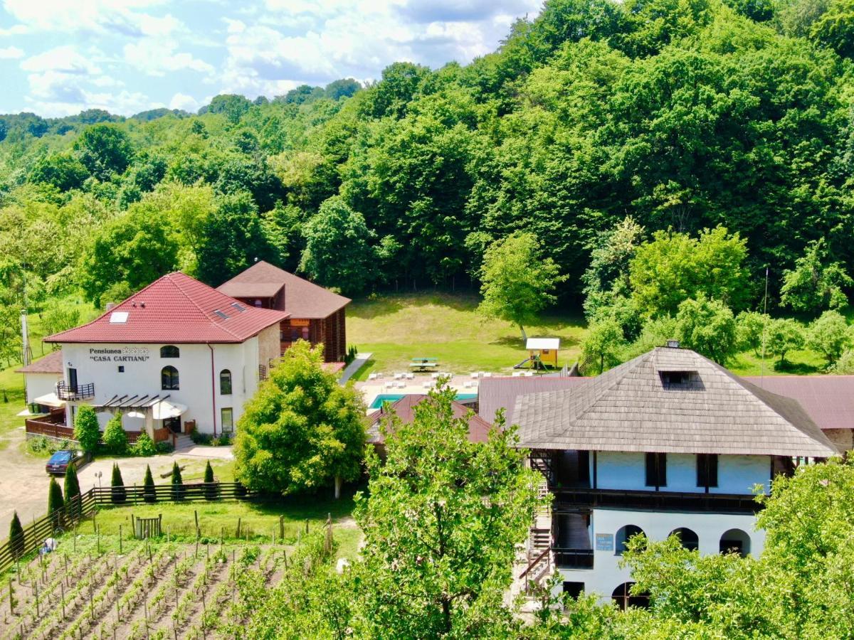Hotel Casa Cartianu Târgu Jiu Esterno foto
