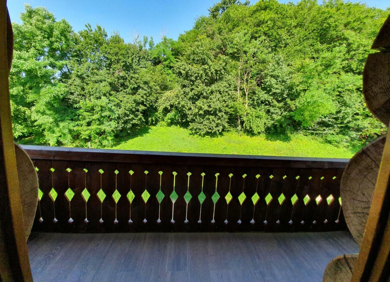 Hotel Casa Cartianu Târgu Jiu Esterno foto